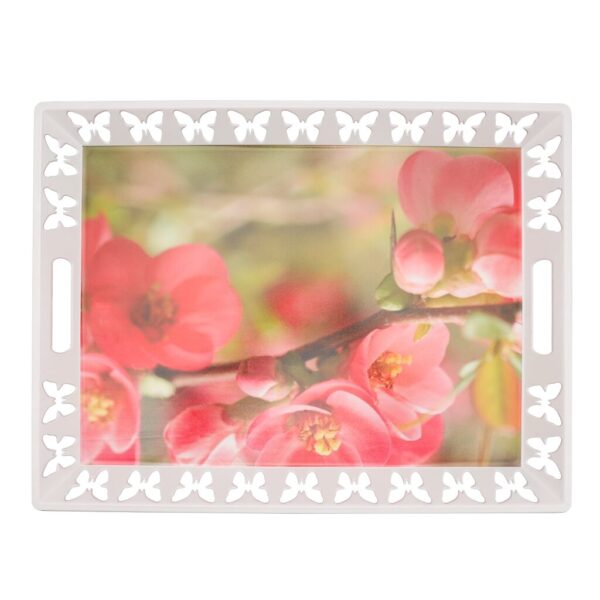 Royalford 50X38 CM Rectangular Butterfly Tray- RF11269| Elegant and Sleek Design with Durable and Long-Lasting Construction| Ideal for Serving Drink and as a Dcor Piece| Multi-Color