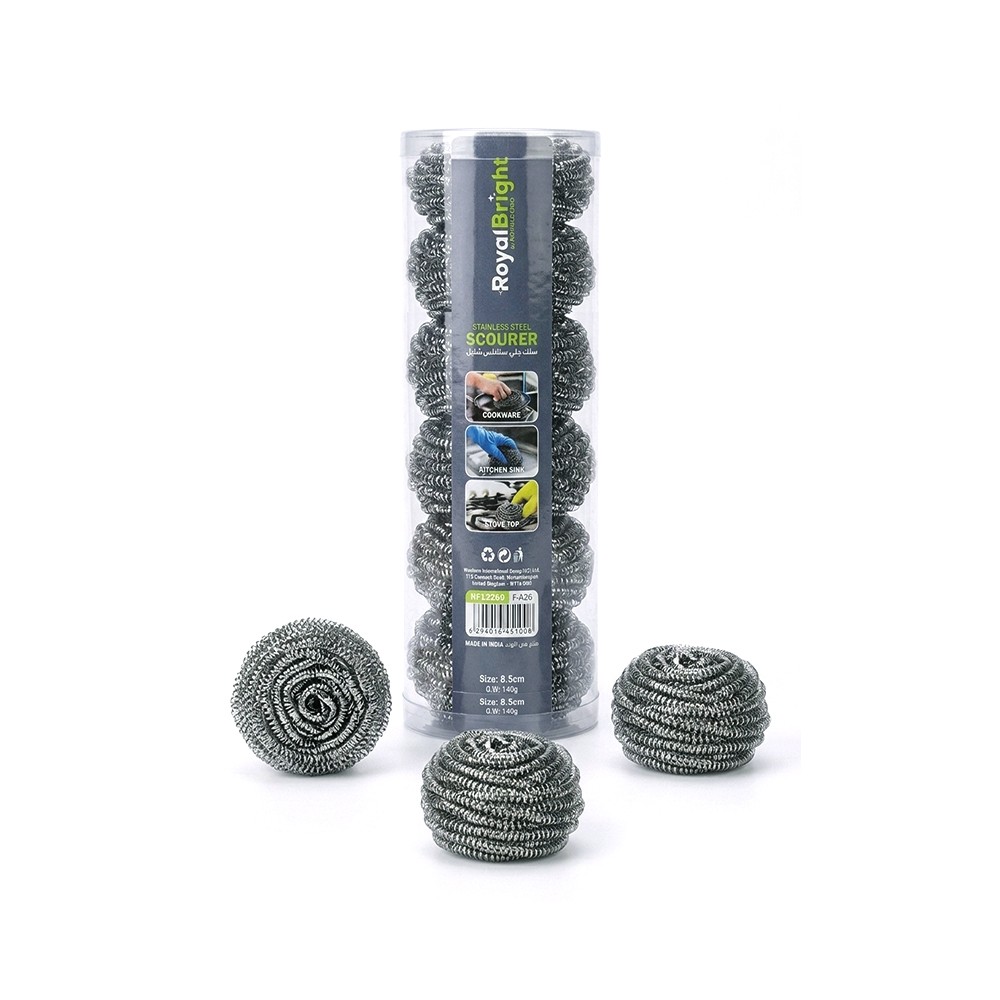 Royal Bright RF13269 6Pcs Stainless Steel Scourers, Made In INDIA